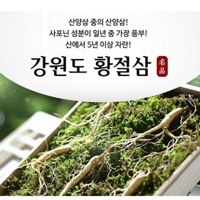 강원도 명품 황절삼 1세트-10뿌리 5년근이상 산양삼 장뇌삼 산삼, 1박스(10뿌리), 1개