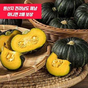 열매농장 해남 직송 미니밤호박, 1box, 2kg