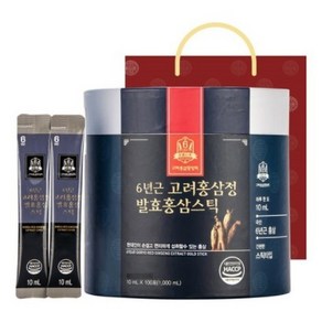 고려홍삼중앙회 6년근 고려홍삼정 투데이 녹용홍삼스틱 + 쇼핑백, 1L, 1세트