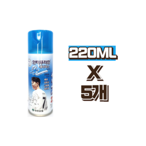 안티푸라민 쿨 에어파스 에어로솔 220ml, 1개, 2개입