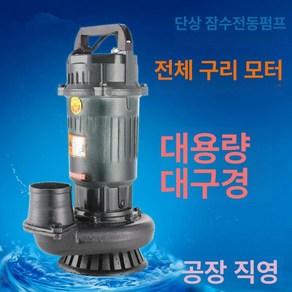 수중 펌프 2마력 수중모터 워터 양수기 정화조 수영장 1800와트 3인치 220V, 1.1KW 2인치 220V 단상, 1개