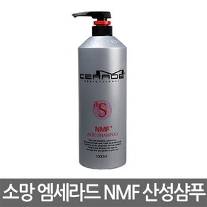 소망 엠세라드 NMF산성샴푸, 1L, 1개