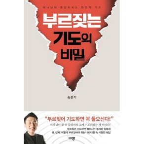 부르짖는 기도의 비밀 : 하나님이 응답하시는 원초적 기도