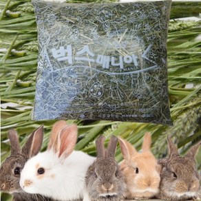 토끼 기니피그 건초 사료 티모시 알파파 알팔파 3+1, 알팔파잎