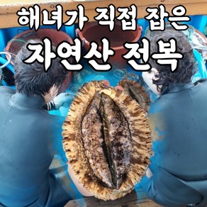 산지직송 해녀가 직접 잡은 국산 통영 자연산 전복 활전복 1kg 대 특대 왕특대 10미 8마리 대형 특대형 선물용, 4. 자연산 전복선물세트 4호, 1개