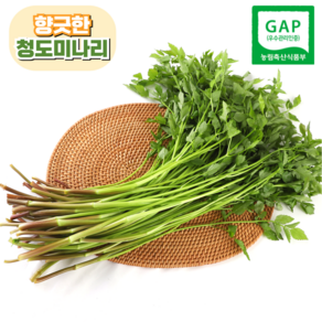 [산지직송] 향긋한 국내산 세척 청도미나리, 1개, 1kg