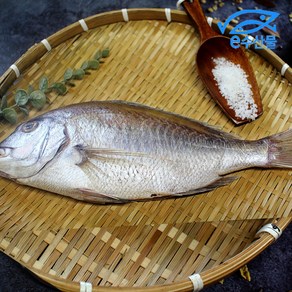 반건조 제수용 국산 참돔 참도미 손질 천일염 소금간된 제사용 말린 생선, 참돔왕특대43cm, 1개