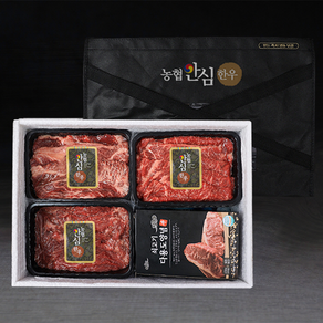 한우선물세트 1등급 1kg 꽃등심 국거리 불고기 고급부직포가방 부모님선물, 1개