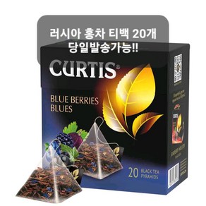 커티스 블루베리 홍차 티백 (개별포장) CURTIS BLUEBERRY BLUES BLACK