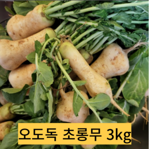 황토 알타리무 1단(3kg내외)진짜 맛있는 아삭아삭 국산 무우 총각무(초롱무로 발송), 1단(3kg 내외), 1개