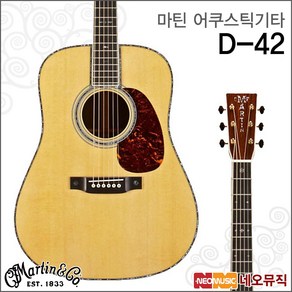 D-42, 마틴 D-42_MS, 1개