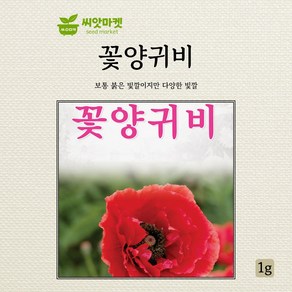 꽃양귀비 1g 야생화 씨앗 다농, 1개