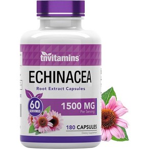 에키나세아 뿌리 허브 10배 추출 1500mg 180캡슐 고함량 미국산 Echinacea, 에키나세아  150mg 180캡슐, 1개, 180정