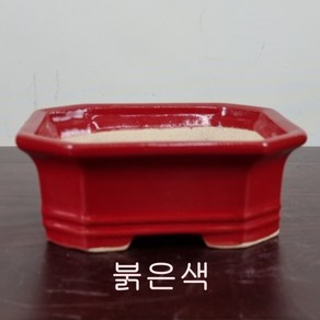 5. 손바닥정원 팔각모양형 분재화분 승전분, 밝은녹색, 1개