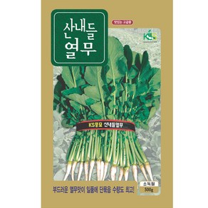 산내들 열무씨앗 500g 대용량, 1개