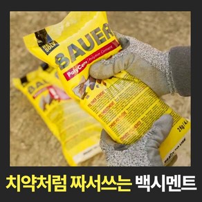 짜서쓰는 바우어 고강도 몰탈 방수 백시멘트, 화이트계열, 1개