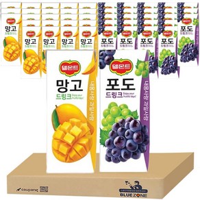 델몬트 포도190ml 24팩+망고 190ml 24팩 세트, 190ml, 48개