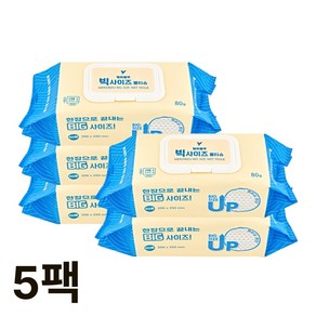 실버용 간병/요양원 도톰한 빅사이즈 물티슈, 5개, 80매, 650g