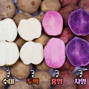 괴산 4종 햇감자 수미 두백 홍영 자영 감자, 괴산두백감자대왕3kg, 1개