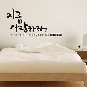 지금사랑하라 캘리그라피스티커 포인트그래픽스티커 벽지 인테리어 글자 명언 글귀 한글 데코 레터링 손글씨 문구, 화이트