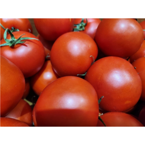 [찰지고 맛있어요] 논산 스마트팜 완숙 찰 토마토 쥬스용 간식용 샐러드용 tomato, 1박스, 2kg