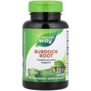 네이처스웨이 버독 우엉 Budock Root 860mg(퍼서빙) 100정, 1개