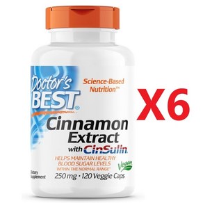 닥터스 베스땡 신술린 Docto s Best CinSulin 함유 시나몬유효성분 250mg 베지 캡슐 120정 6통, 6개