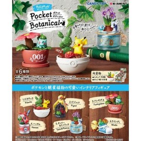 리멘트 포켓몬 Pocket Botanical 식완 피규어 모형 풀세트, 뽁뽁이 포장, 1개