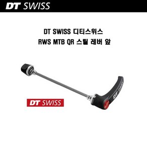 DT SWISS 디티스위스 RWS MTB QR 스틸 레버 앞