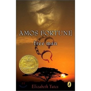 Amos Fotune Fee Man Papeback, Puffin Books