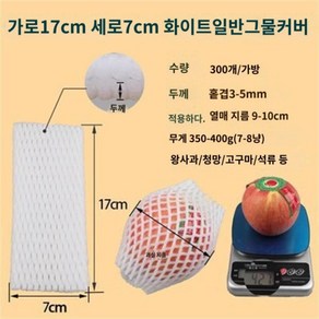 과일 네트망 과일망 완충제 충격방지 메쉬 과일포장재, 10 17cmx7cm