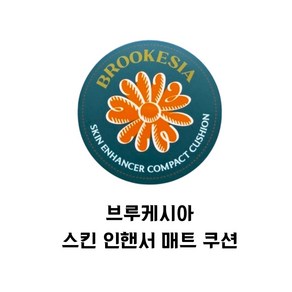 [정품] NEW 고밀착 슬림커버 세미매트 브루케시아 스킨 인핸서 컴팩트 쿠션 colo 옵션, 본품, 1호 페일피치, 1개