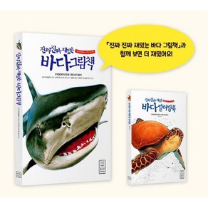 진짜진짜 재밌는 바다그림책 + 바다왕 컬러링북 세트, 라이카미