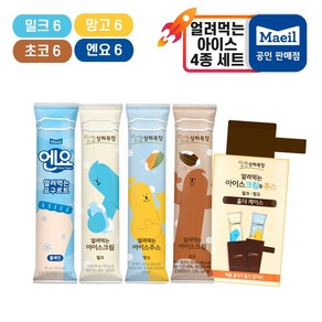 매일유업 얼려먹는 아이스크림 (밀크6+초코6+망고6+엔요6)+홀더