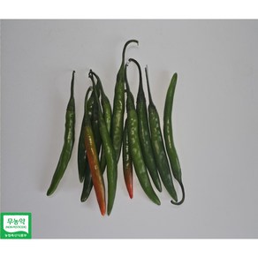 하늘농부 친환경 장아찌용 청양고추 1kg, 1개