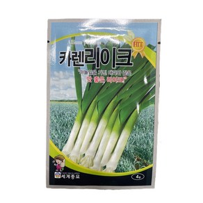 카렌 리크 씨앗 4g [24년포장] 리이크종자 LEEK 서양대파, 1개