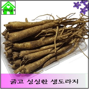 국내산 도라지 흙도라지 생도라지 (굵음) 1Kg, 1개, 나물도라지 1kg (세척X)