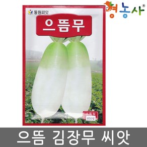 으뜸무 600립 무우 무 씨앗 고랭지 김장무 종자, 1개