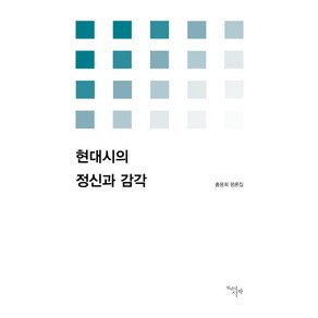 현대시의 정신과 감각:홍용희 평론집, 천년의시작, 홍용희 저