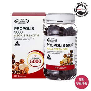 마더네스트 프로폴리스 5000mg 250정, 1개