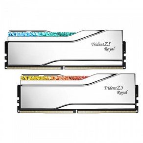 G.SKILL DDR5-7200 CL34 TRIDENT Z5 ROYAL 실버 패키지 (32GB(16Gx2))