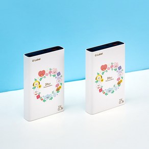 BT21 (정품) 보조배터리 10000mAh 휴대용 22.5W 초고속 급속지원 듀얼단자(type-C usb-A) 60W CtoC케이블포함