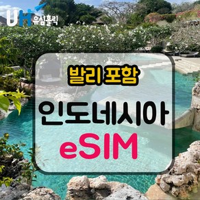 eSIM 인도네시아 이심 데이터 무제한 e심 XL 텔콤셀 핫스팟 발리이심