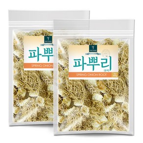 퓨어영 국산 파뿌리 총백 500g