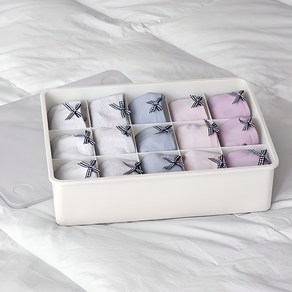 이즈리빙 뚜껑있는 플라스틱 속옷정리함 15칸, 아이보리(반투명뚜껑), 1개