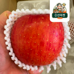 [산지직송] 경북 정품 부사 사계절 내내 달콤함 직배송, 1개, 3kg 중소사이즈