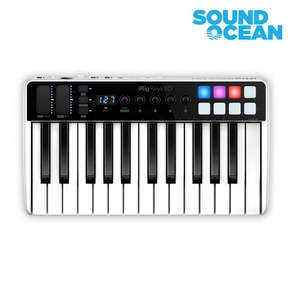 아이케이멀티미디어 iRIg Keys I/O 25 IK Multimedia 아이릭키25 마스터키보드 마스터건반, 1개