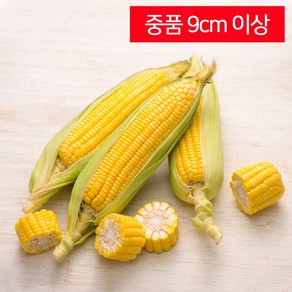 구미당기는 초당옥수수, 10개