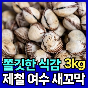 핏시드 제철 새꼬막 여수 벌교 꼬막, 1개, 대(3kg 195-225미)