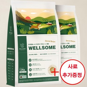 웰썸 국내산 인섹트 곤충사료 알러지 관절 눈물 동애등에 강아지사료, 1.2kg, 1개